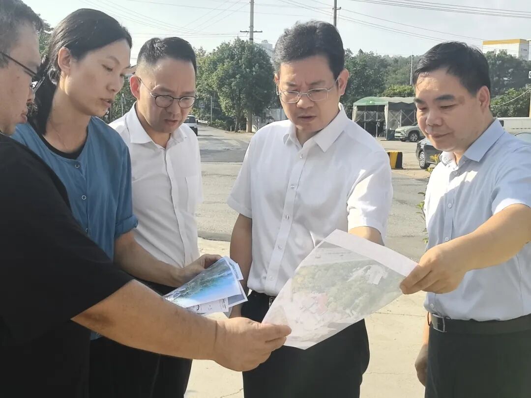 黄军其专题调研左宗棠墓保护利用工作