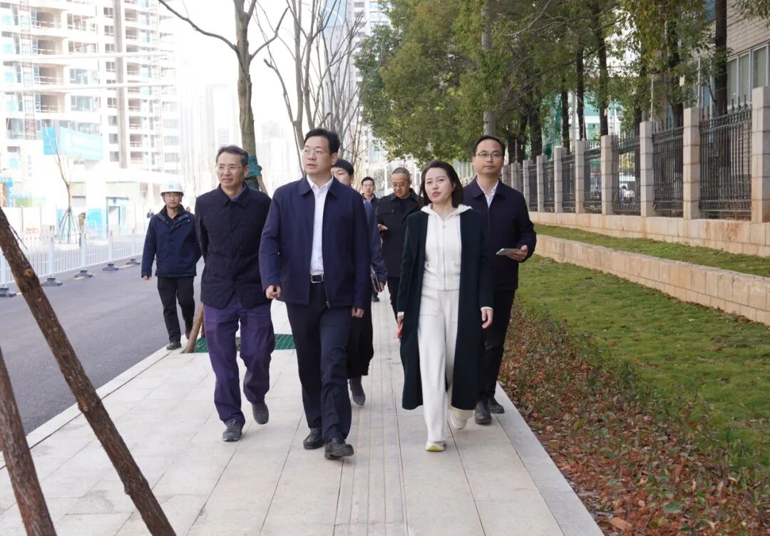 黄军其督导检查校园周边综合环境整治及安全生产工作