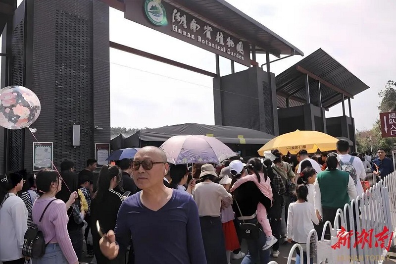 雨花，让“花经济”四季常开！